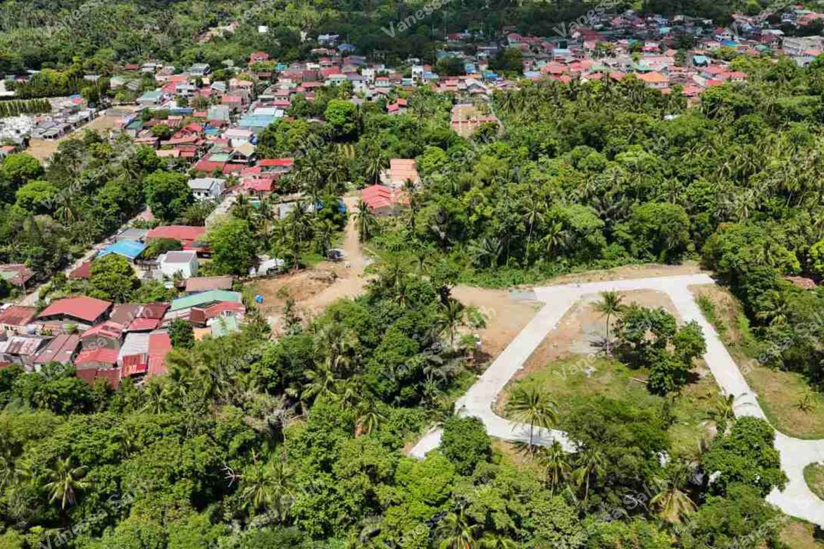 Land for Sale in Barangay V, Alfonso, Cavite – photo 8