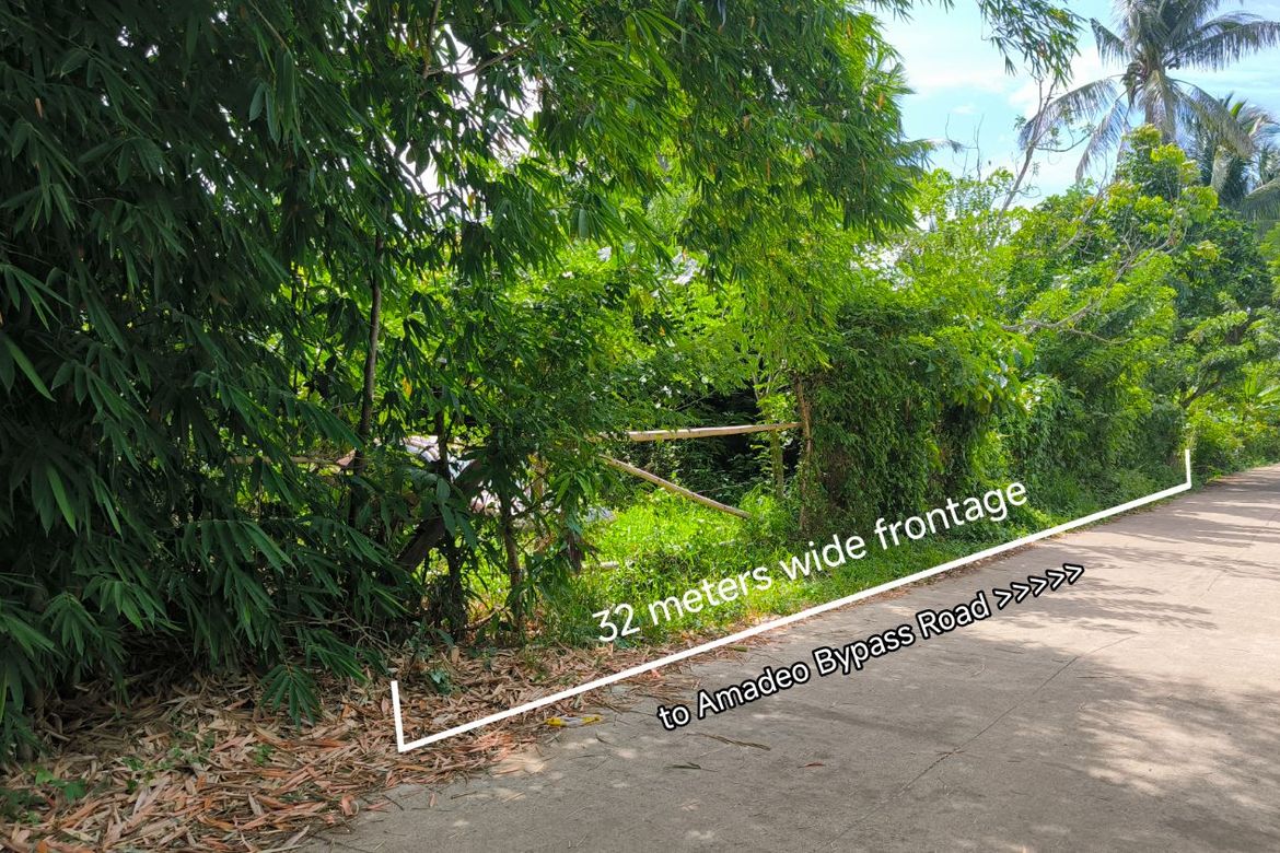 Land for Sale in Barangay V, Amadeo, Cavite