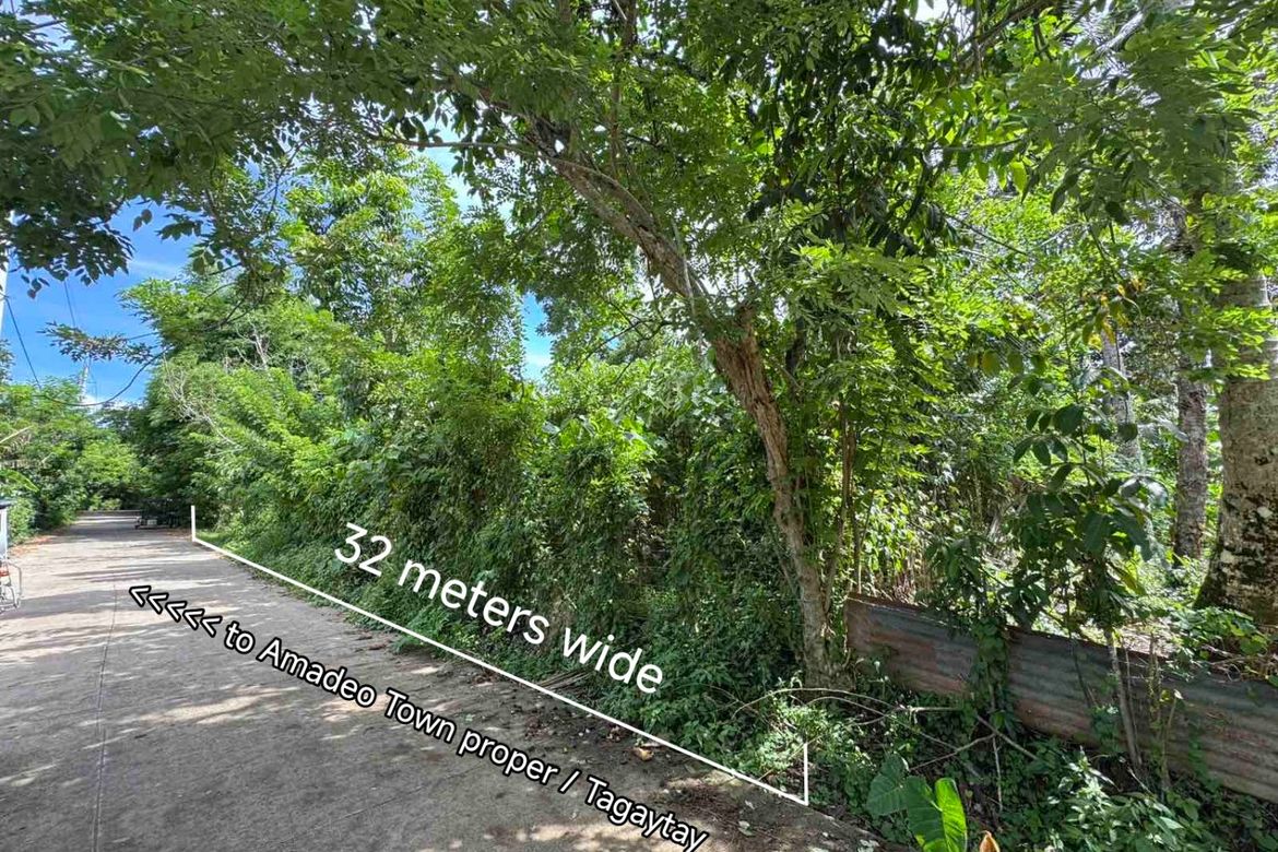 Land for Sale in Barangay V, Amadeo, Cavite – photo 2