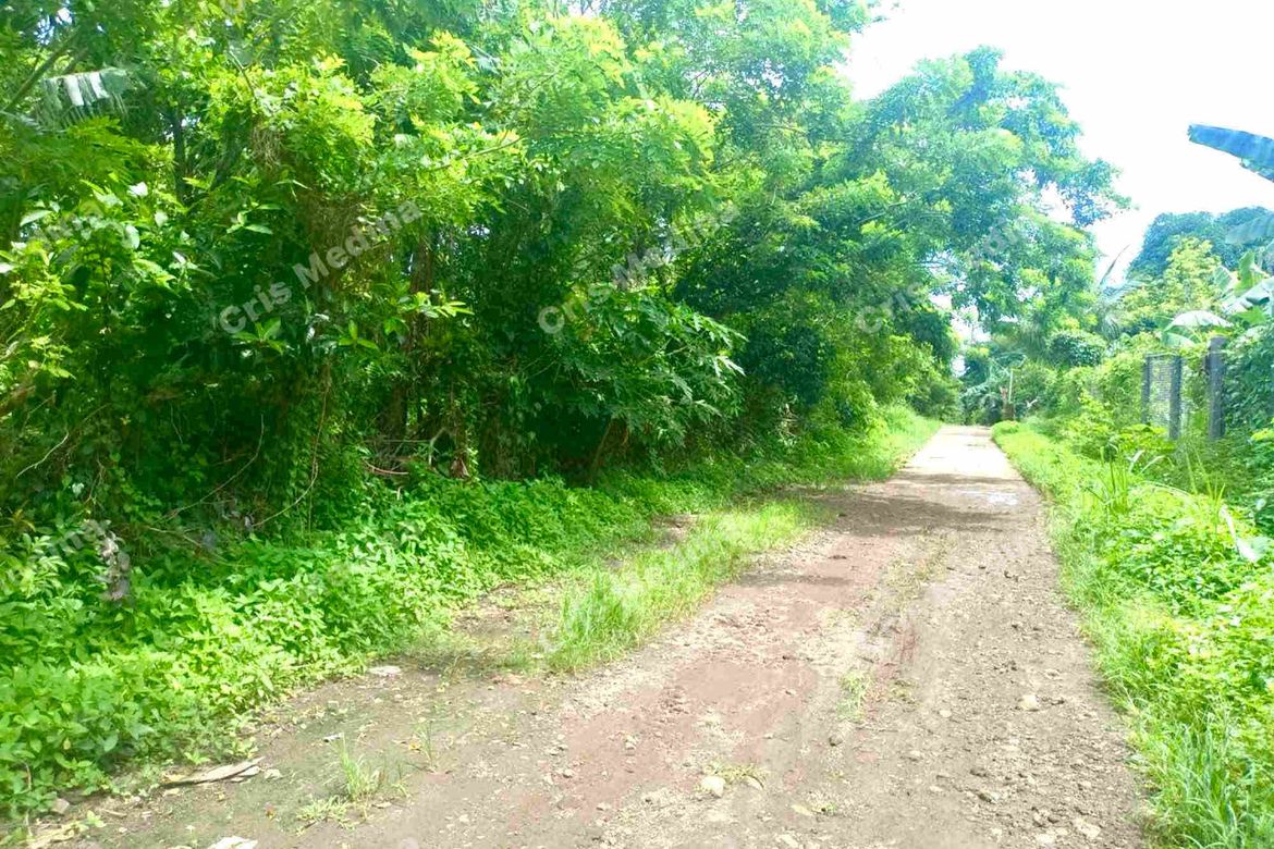 Land for Sale in Barangay V, Amadeo, Cavite – photo 2