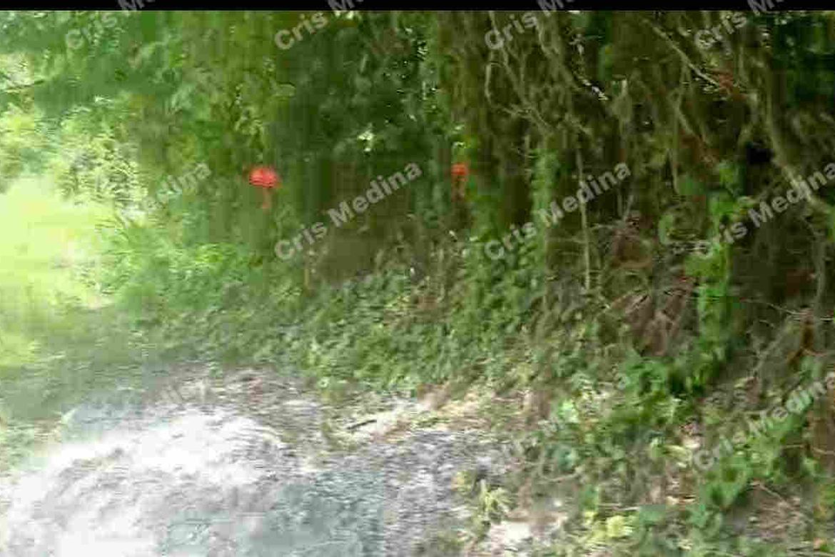 Land for Sale in Barangay V, Amadeo, Cavite – photo 6