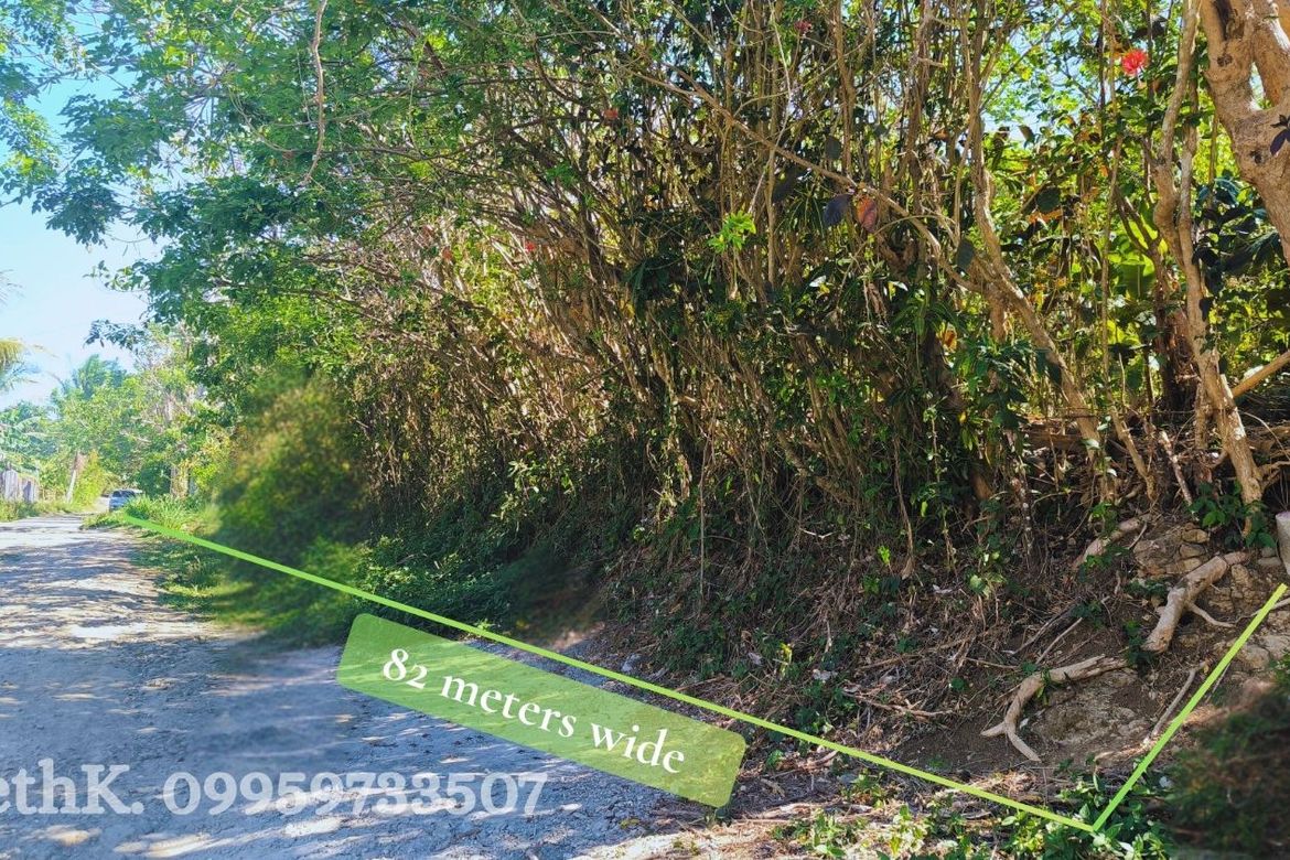 Land for Sale in Barangay V, Amadeo, Cavite – photo 2