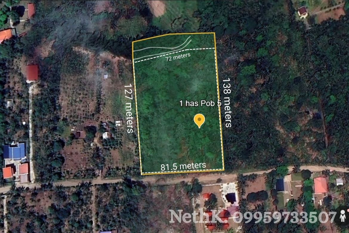 Land for Sale in Barangay V, Amadeo, Cavite – photo 4