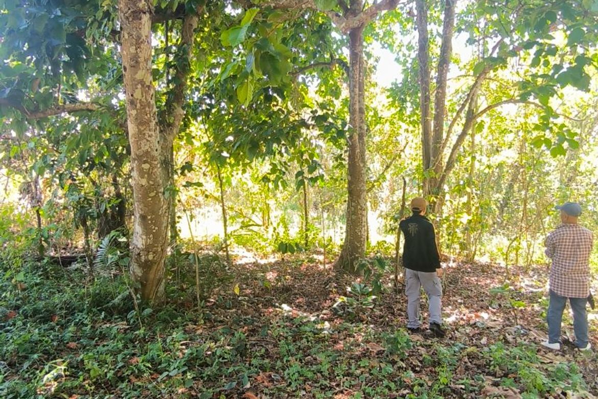 Land for Sale in Barangay V, Amadeo, Cavite – photo 5
