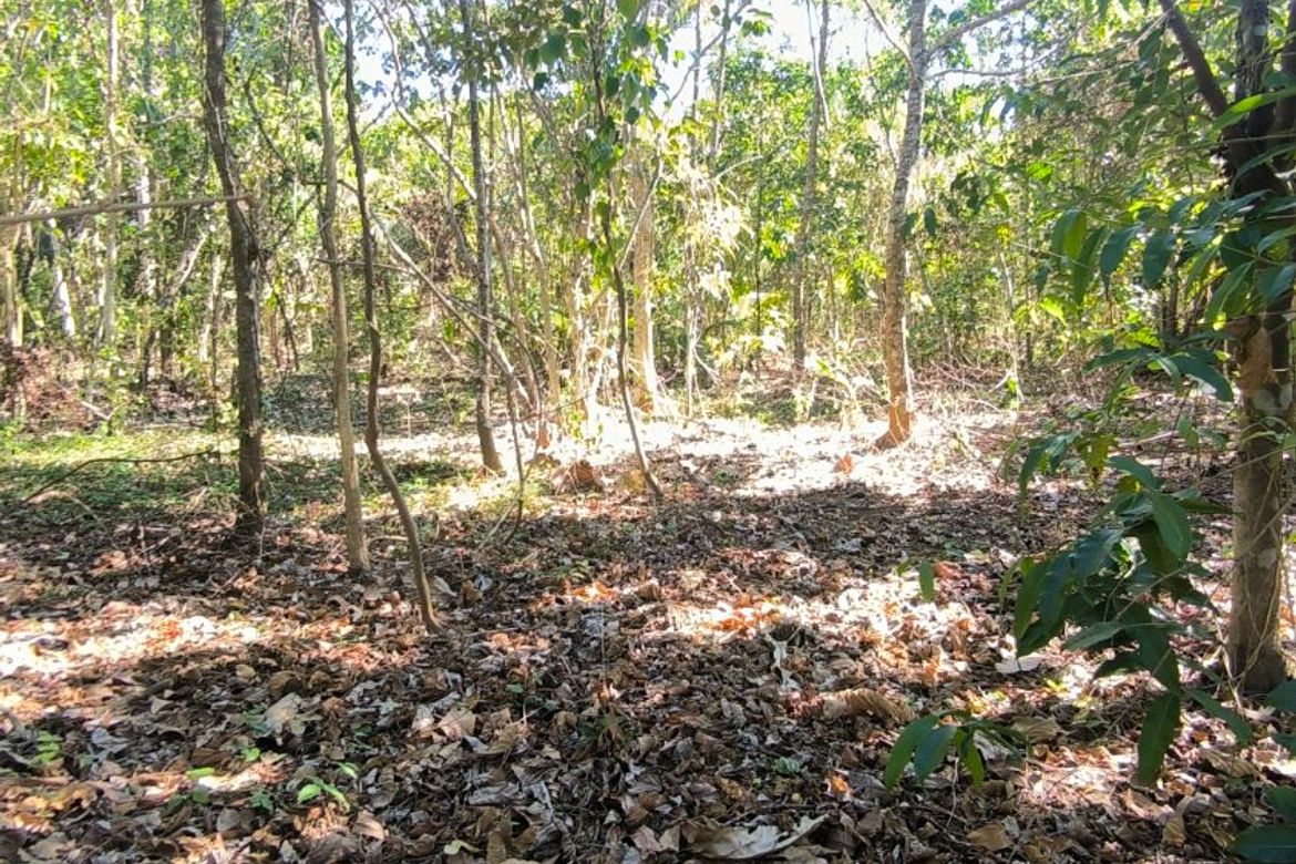 Land for Sale in Barangay V, Amadeo, Cavite – photo 7