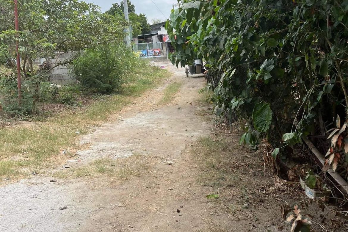 Land for Sale in Barangca, Candaba, Pampanga – photo 3