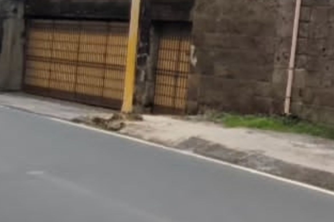 Land for Sale in Barangka Ibaba, Mandaluyong, Metro Manila near MRT-3 Guadalupe – photo 2