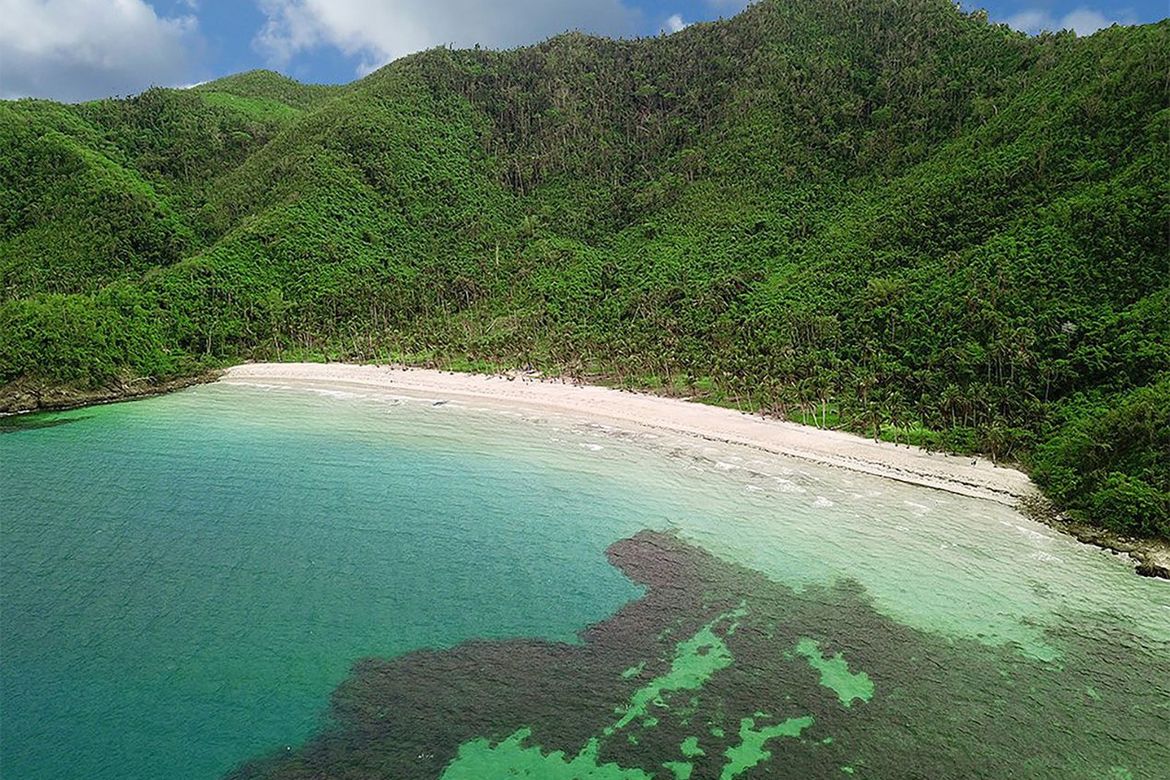 Land for Sale in Baras, Taytay, Palawan – photo 2
