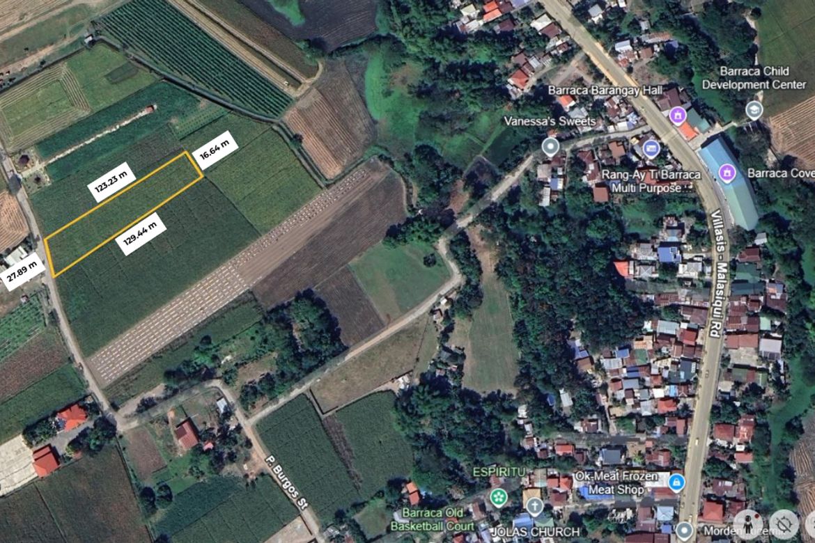 Land for Sale in Barraca, Villasis, Pangasinan