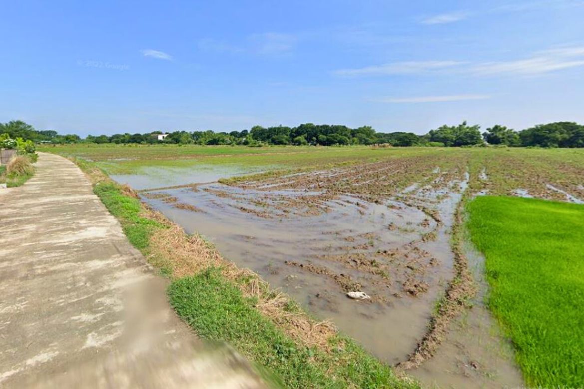 Land for Sale in Barraca, Villasis, Pangasinan – photo 2