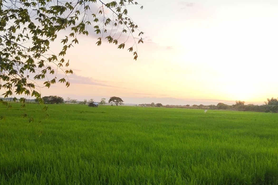 Land for Sale in Barraca, Villasis, Pangasinan