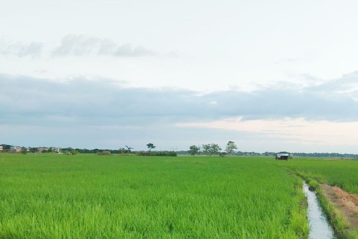 Land for Sale in Barraca, Villasis, Pangasinan – photo 2