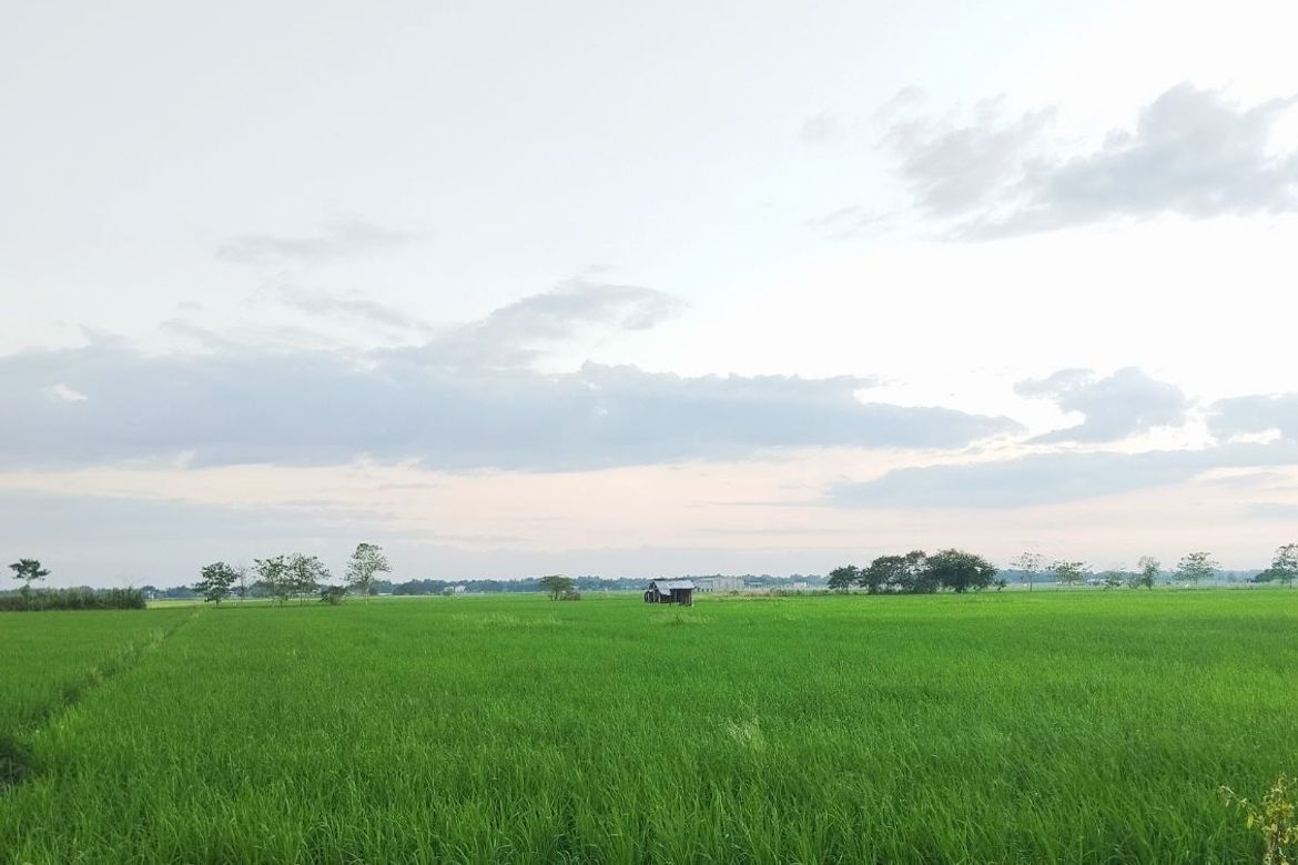Land for Sale in Barraca, Villasis, Pangasinan – photo 3