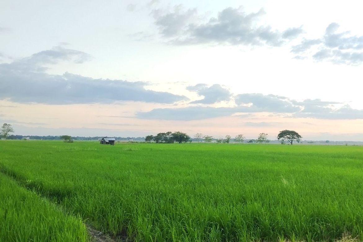 Land for Sale in Barraca, Villasis, Pangasinan – photo 4