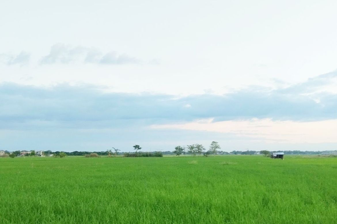 Land for Sale in Barraca, Villasis, Pangasinan – photo 5