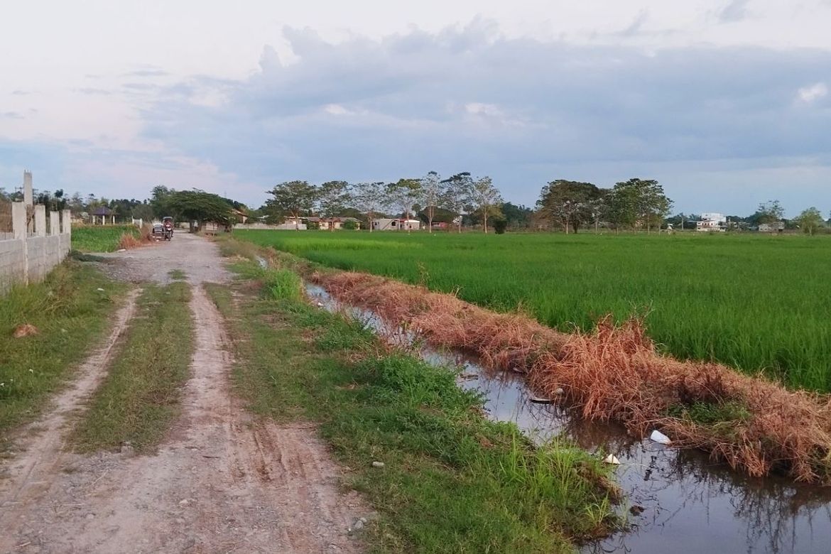 Land for Sale in Barraca, Villasis, Pangasinan – photo 6