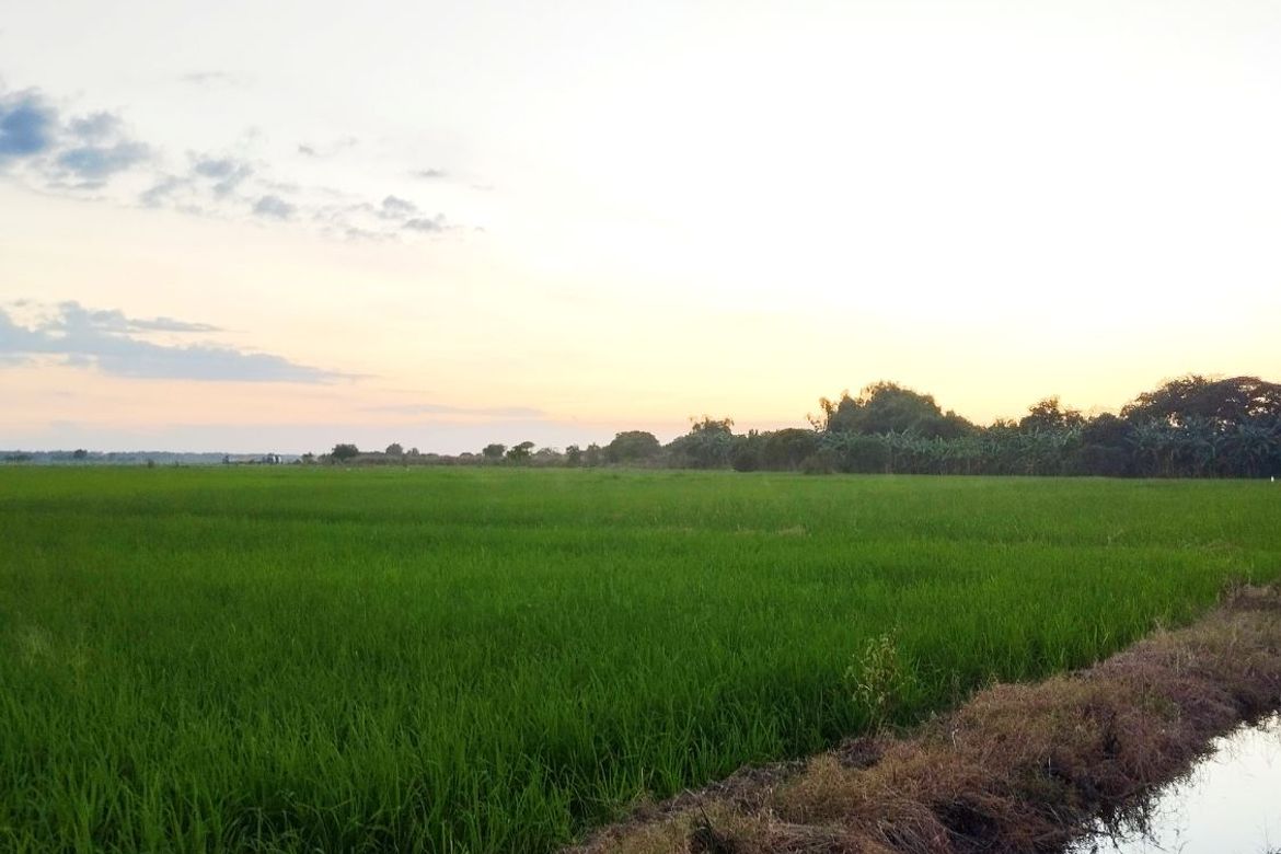 Land for Sale in Barraca, Villasis, Pangasinan – photo 7