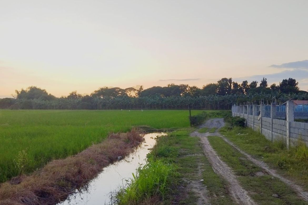 Land for Sale in Barraca, Villasis, Pangasinan – photo 8