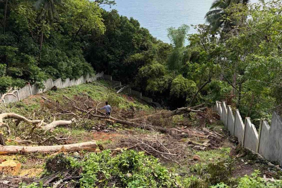 Land for Sale in Barualte, San Juan, Batangas – photo 2