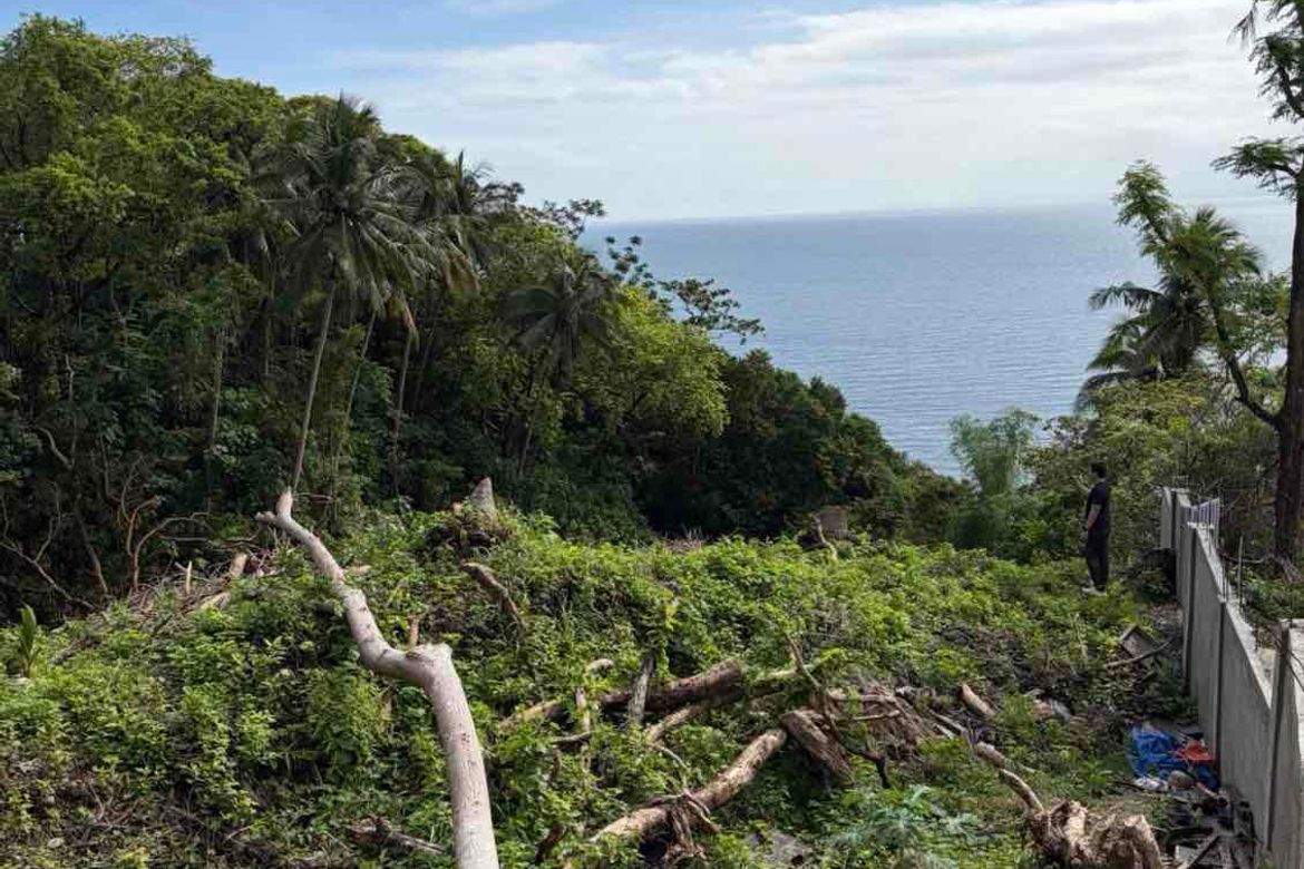 Land for Sale in Barualte, San Juan, Batangas – photo 4