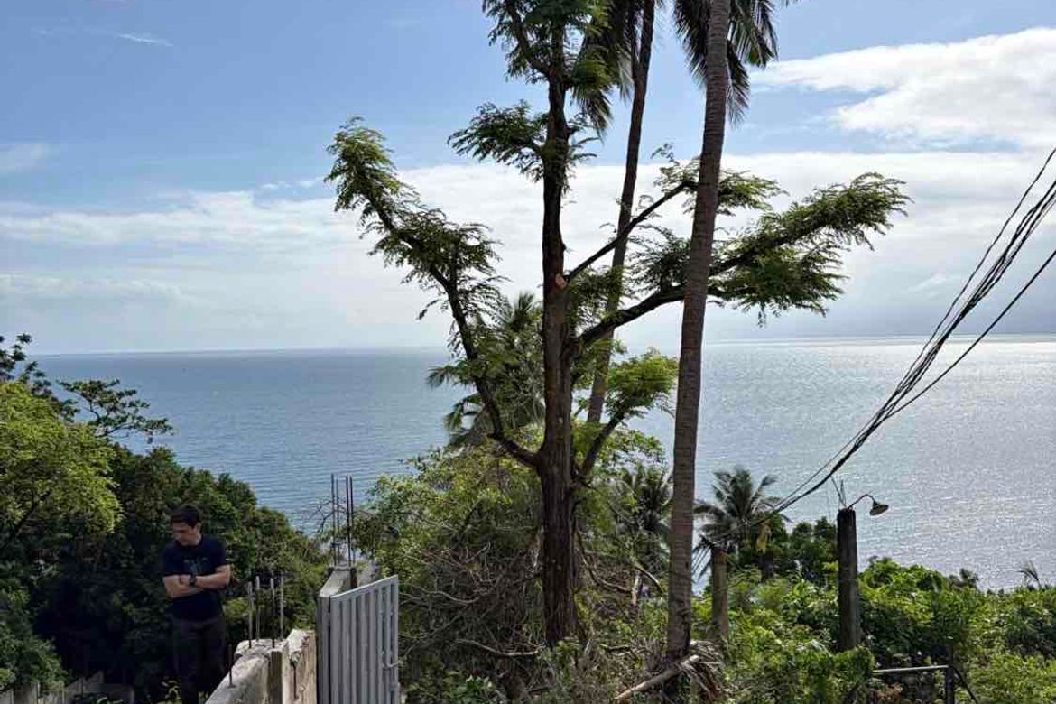 Land for Sale in Barualte, San Juan, Batangas – photo 5