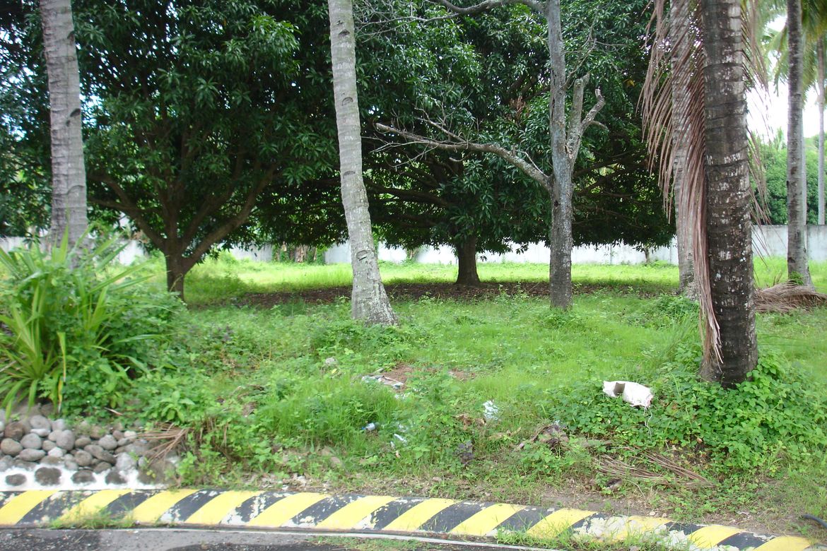 Land for Sale in Basac, Zamboanguita, Negros Oriental – photo 2