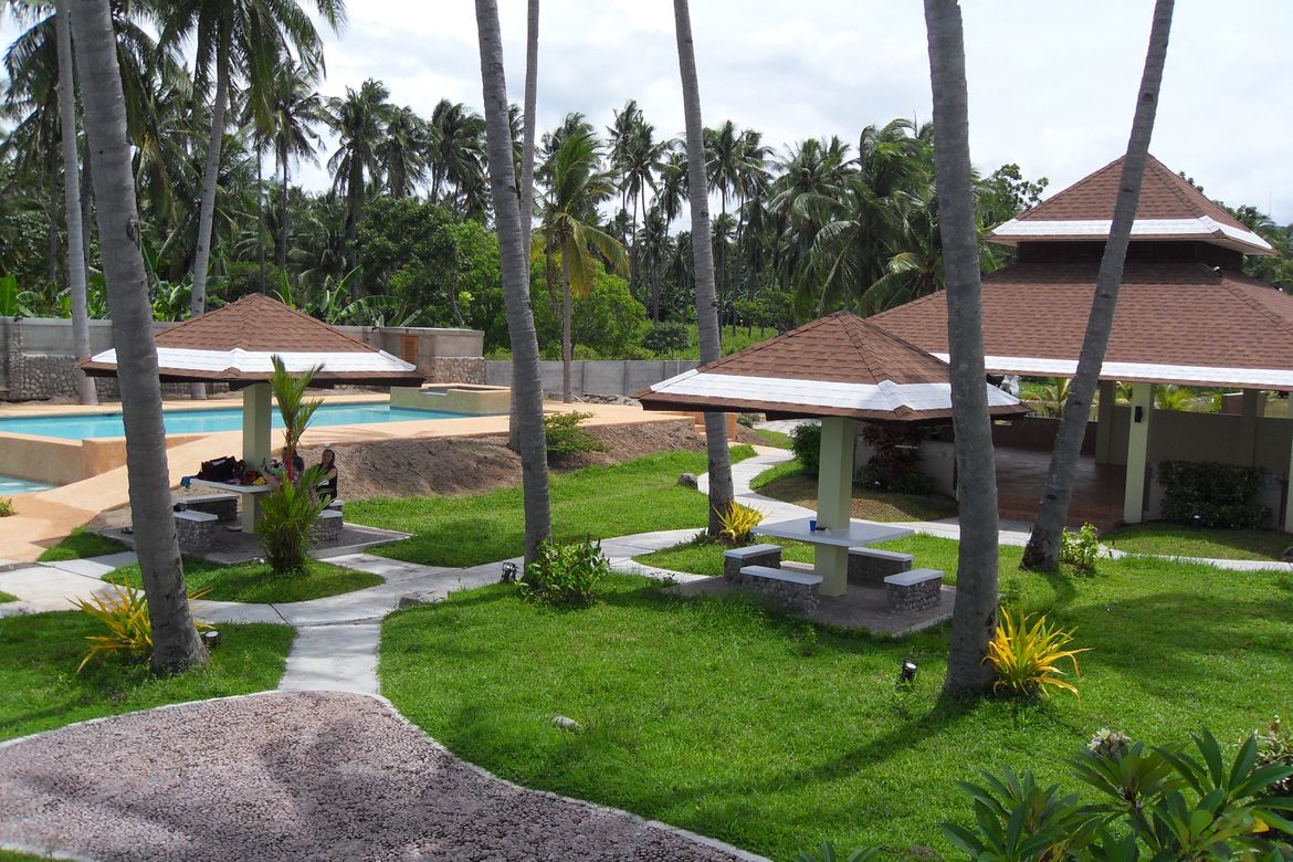 Land for Sale in Basac, Zamboanguita, Negros Oriental – photo 4