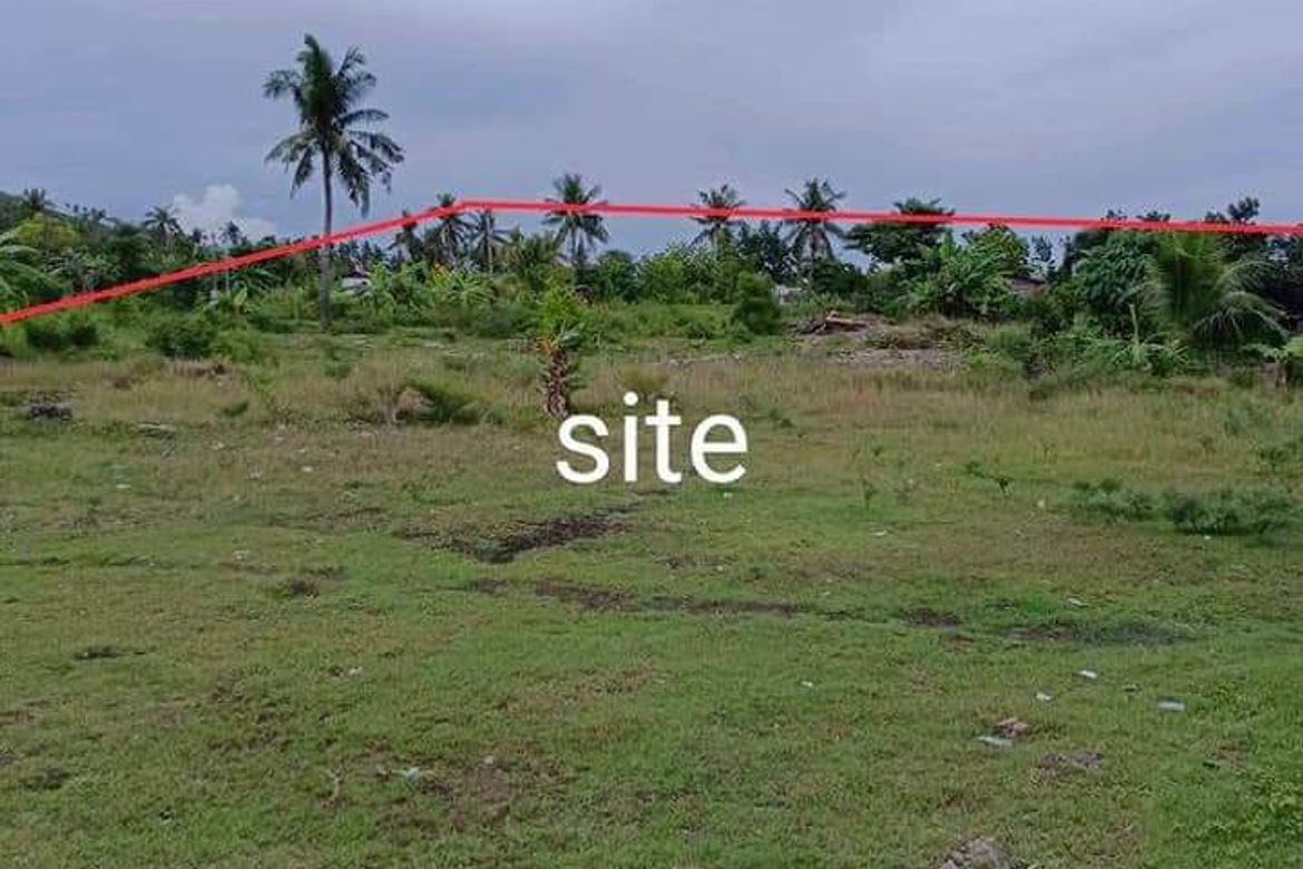 Land for Sale in Basak, Badian, Cebu