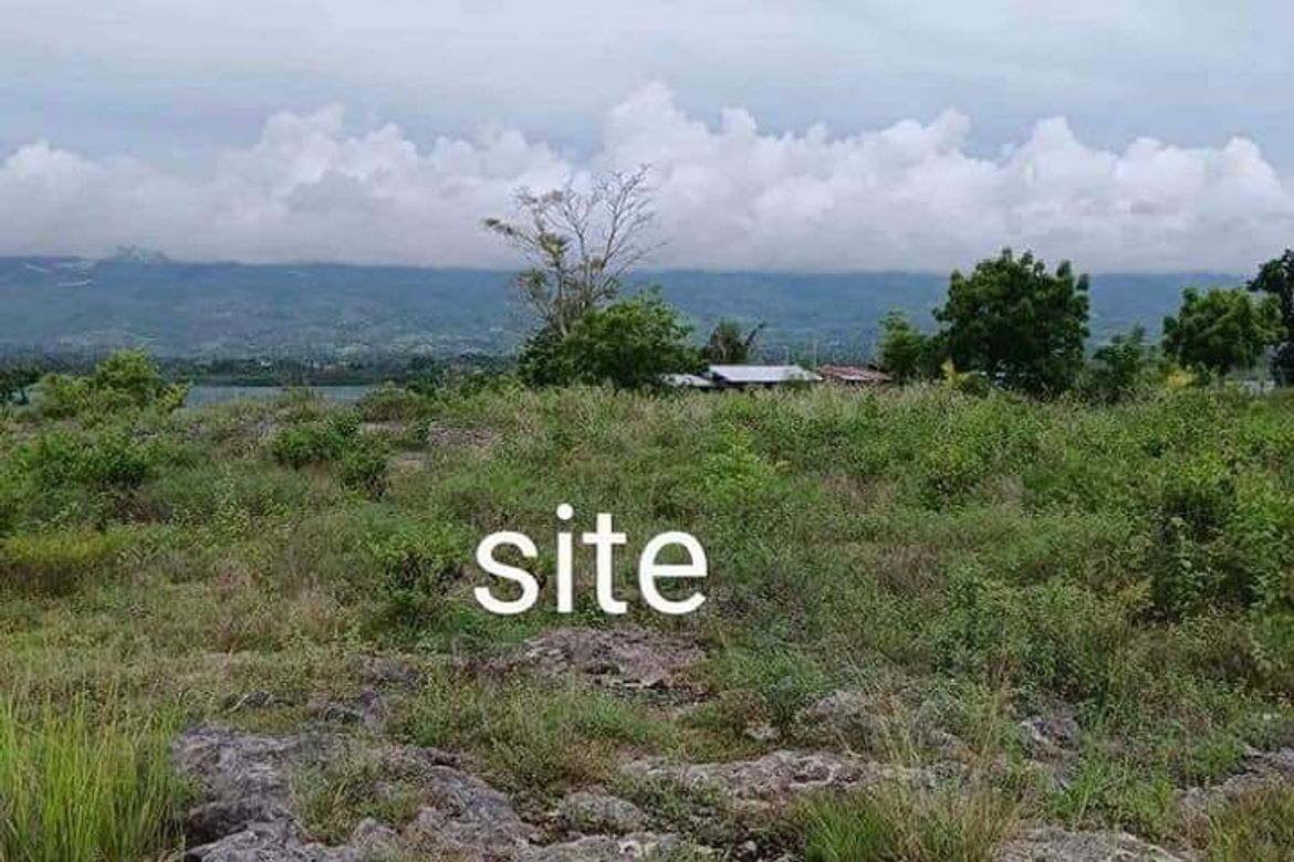 Land for Sale in Basak, Badian, Cebu – photo 2