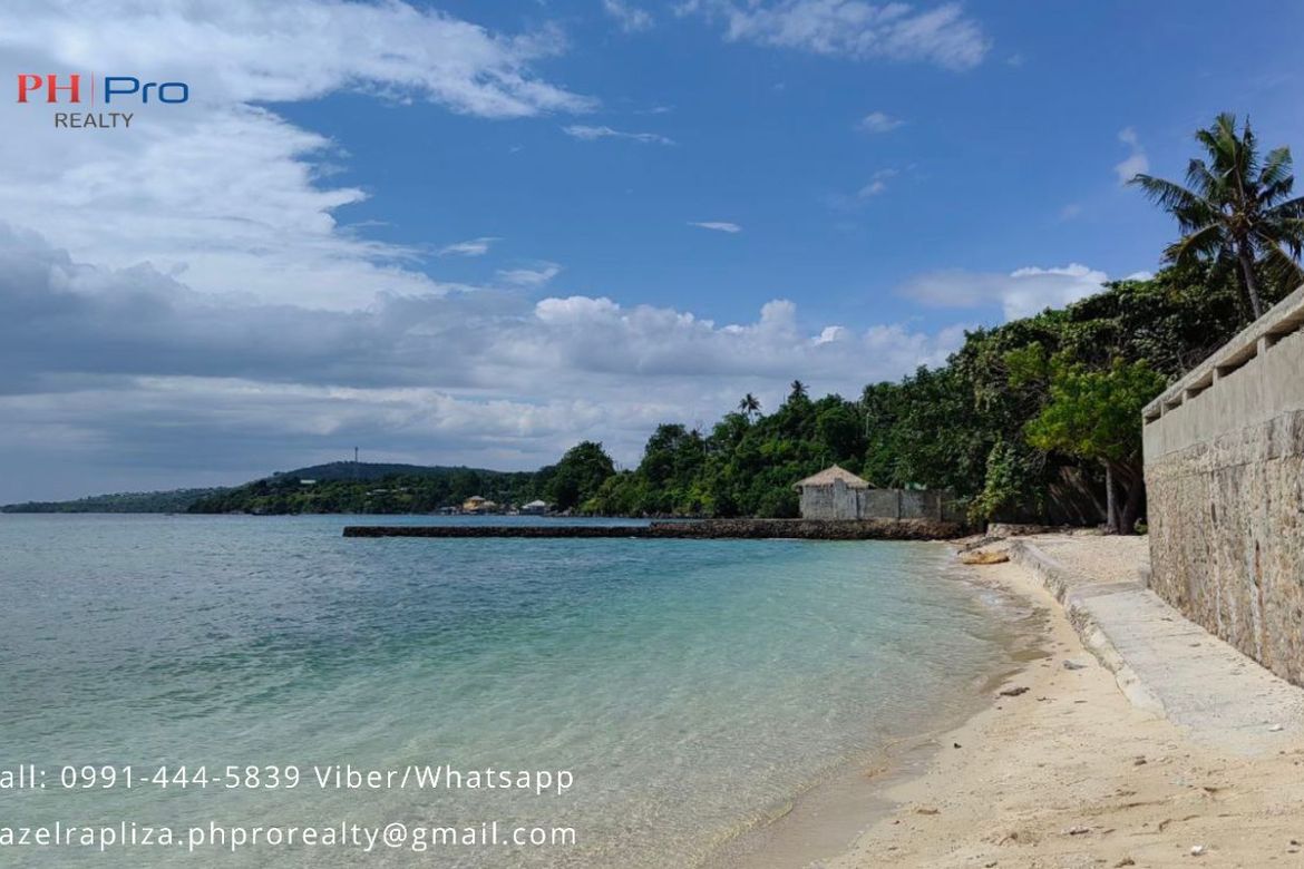 Land for Sale in Basak, Badian, Cebu – photo 3