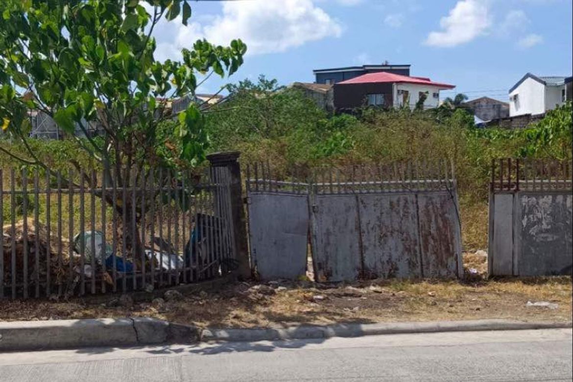 Land for Sale in Basak, Lapu-Lapu, Cebu