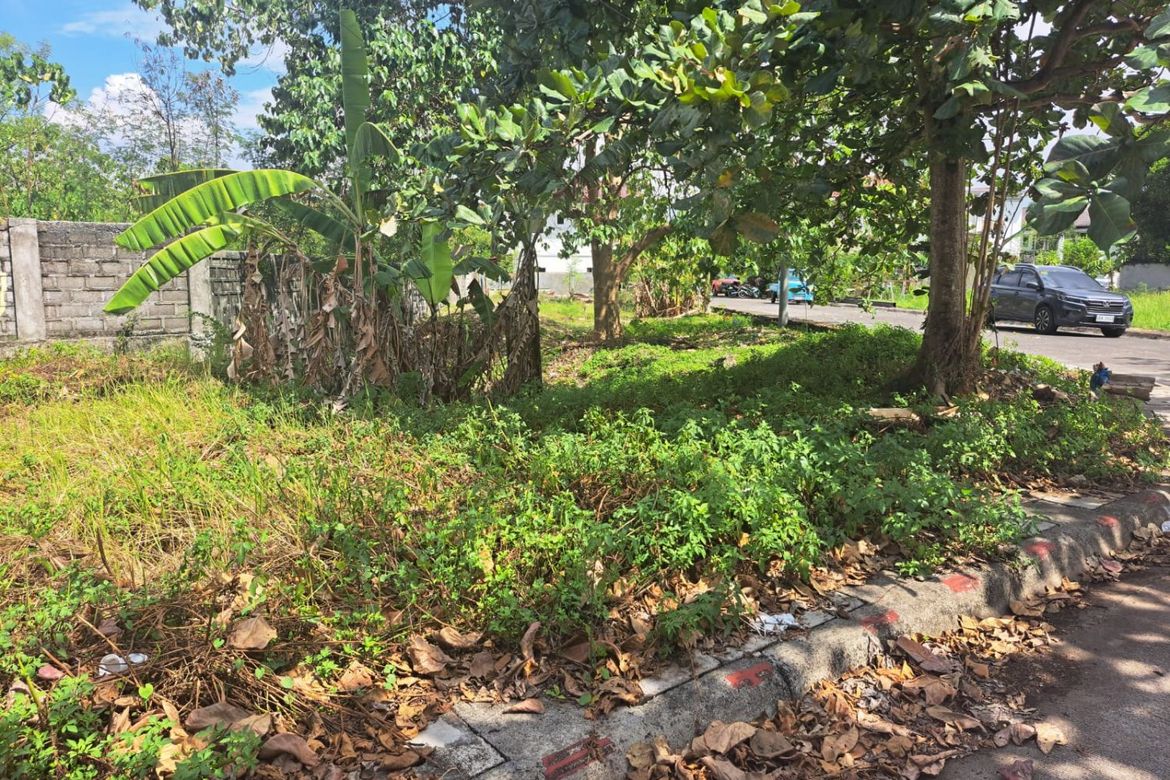 Land for Sale in Basak, Lapu-Lapu, Cebu – photo 2