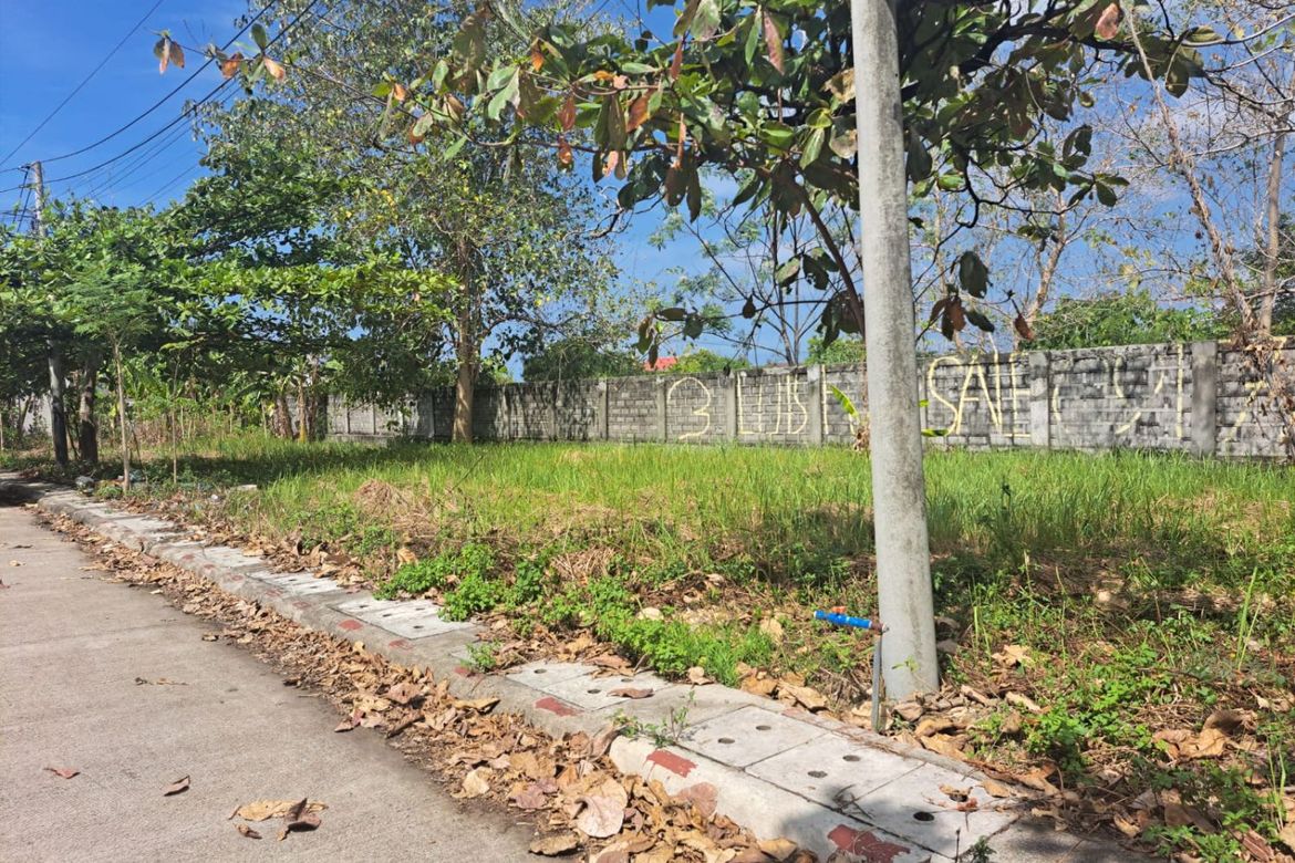 Land for Sale in Basak, Lapu-Lapu, Cebu – photo 5
