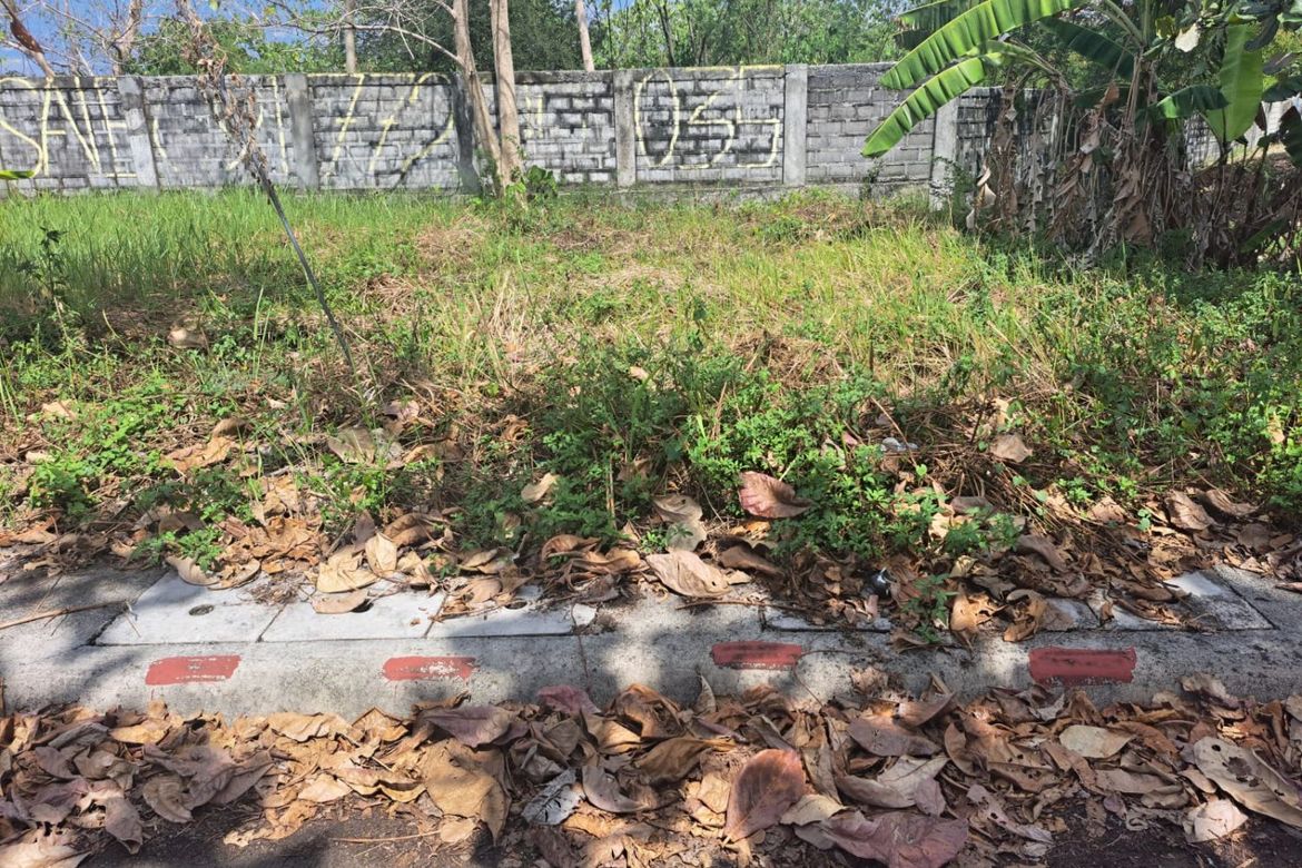 Land for Sale in Basak, Lapu-Lapu, Cebu – photo 6