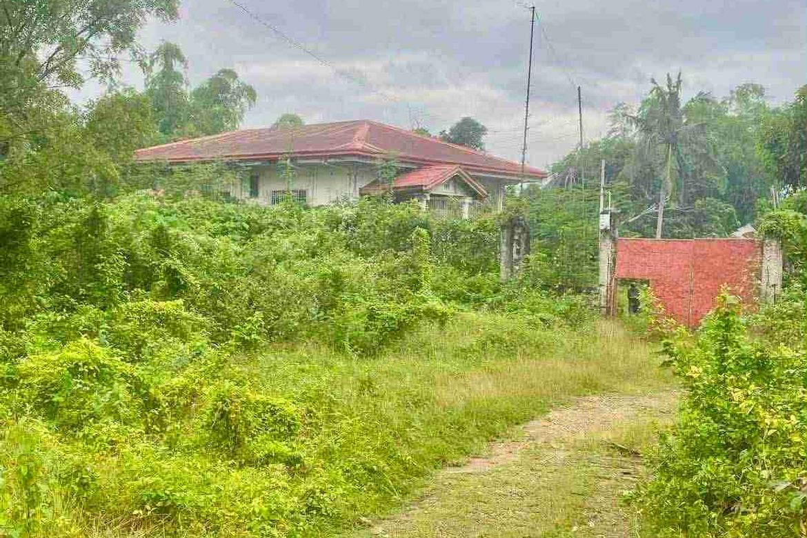 Land for Sale in Basak, Lapu-Lapu, Cebu – photo 7