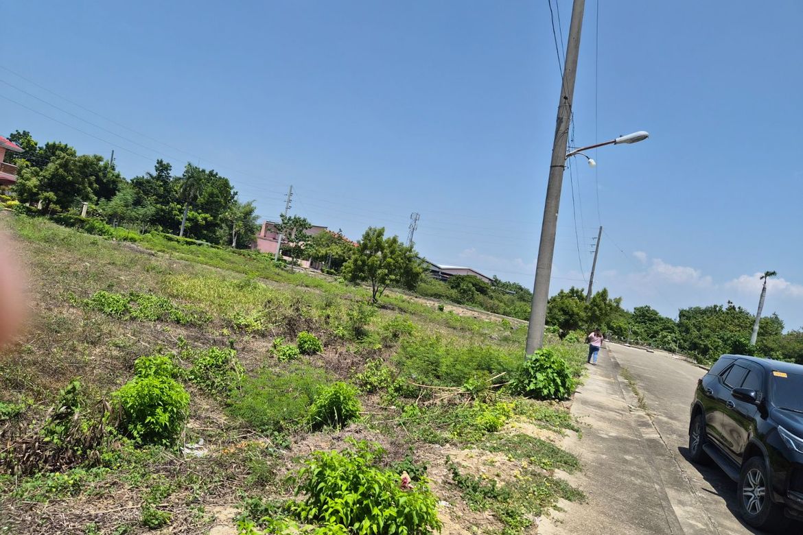 Land for Sale in Basak, Lapu-Lapu, Cebu – photo 2