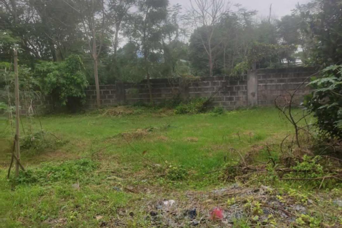 Land for Sale in Basak, Lapu-Lapu, Cebu – photo 5