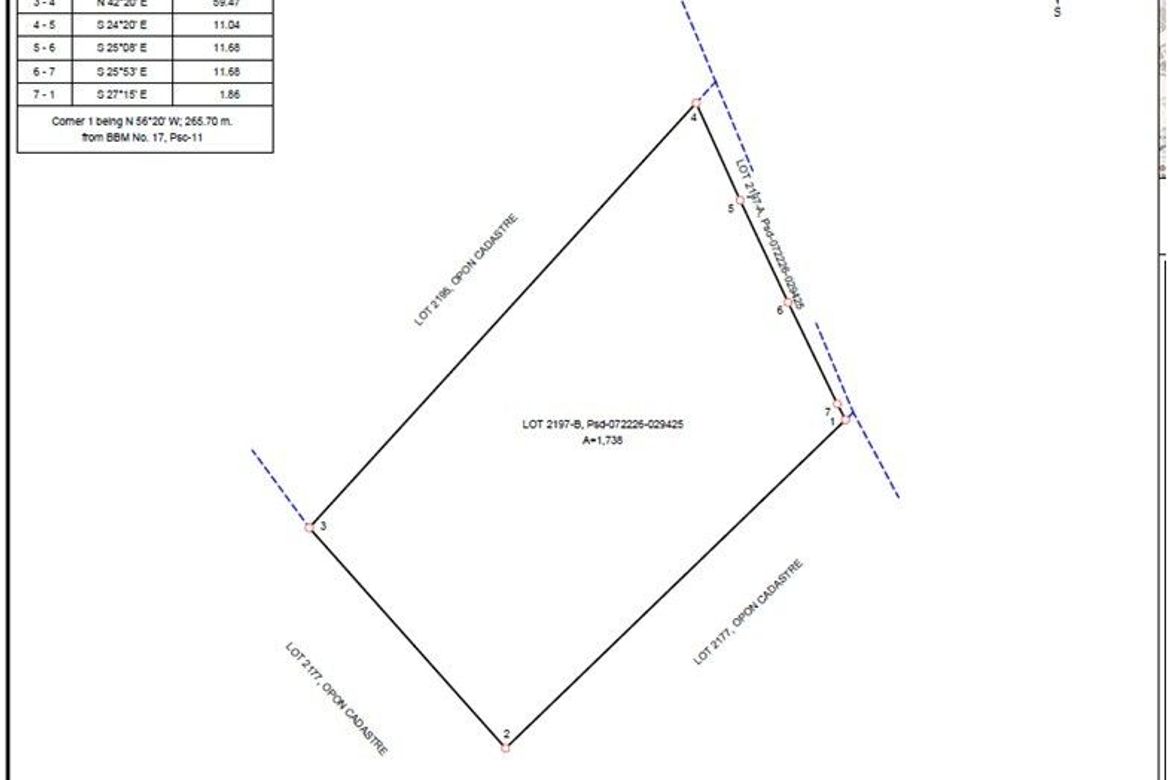 Land for Sale in Basak, Lapu-Lapu, Cebu – photo 5