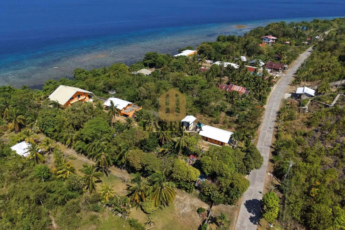 Land for Sale in Basdio, Loon, Bohol – photo 3