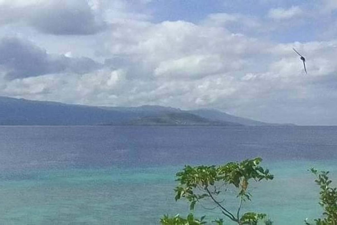 Land for Sale in Basdiot, Moalboal, Cebu