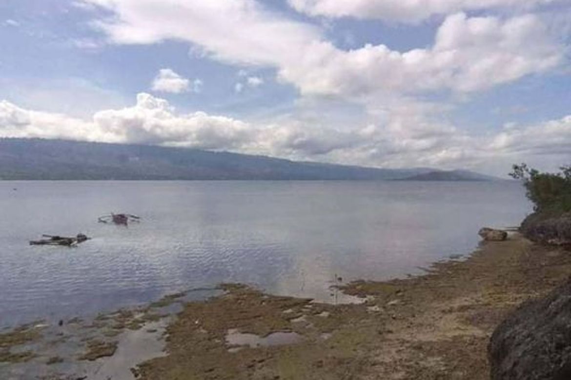 Land for Sale in Basdiot, Moalboal, Cebu – photo 5