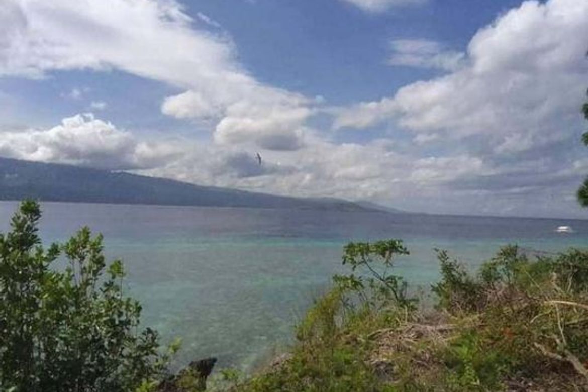 Land for Sale in Basdiot, Moalboal, Cebu – photo 6