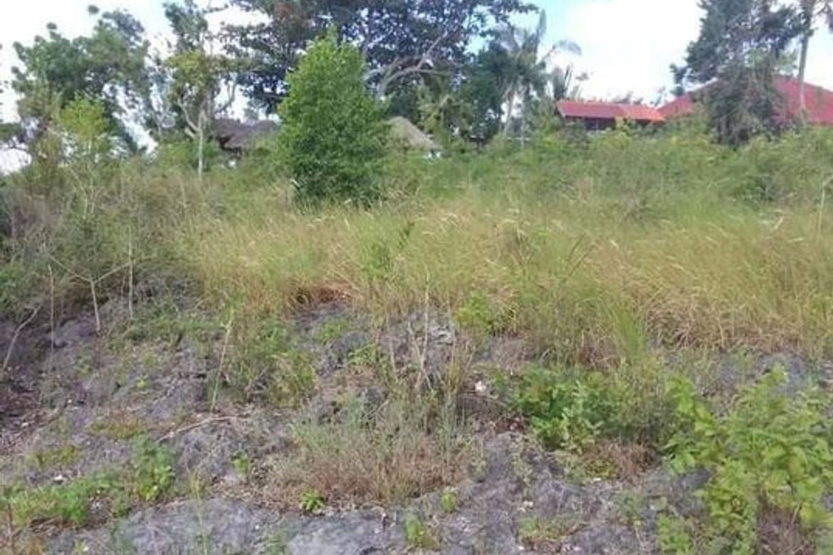 Land for Sale in Basdiot, Moalboal, Cebu – photo 7