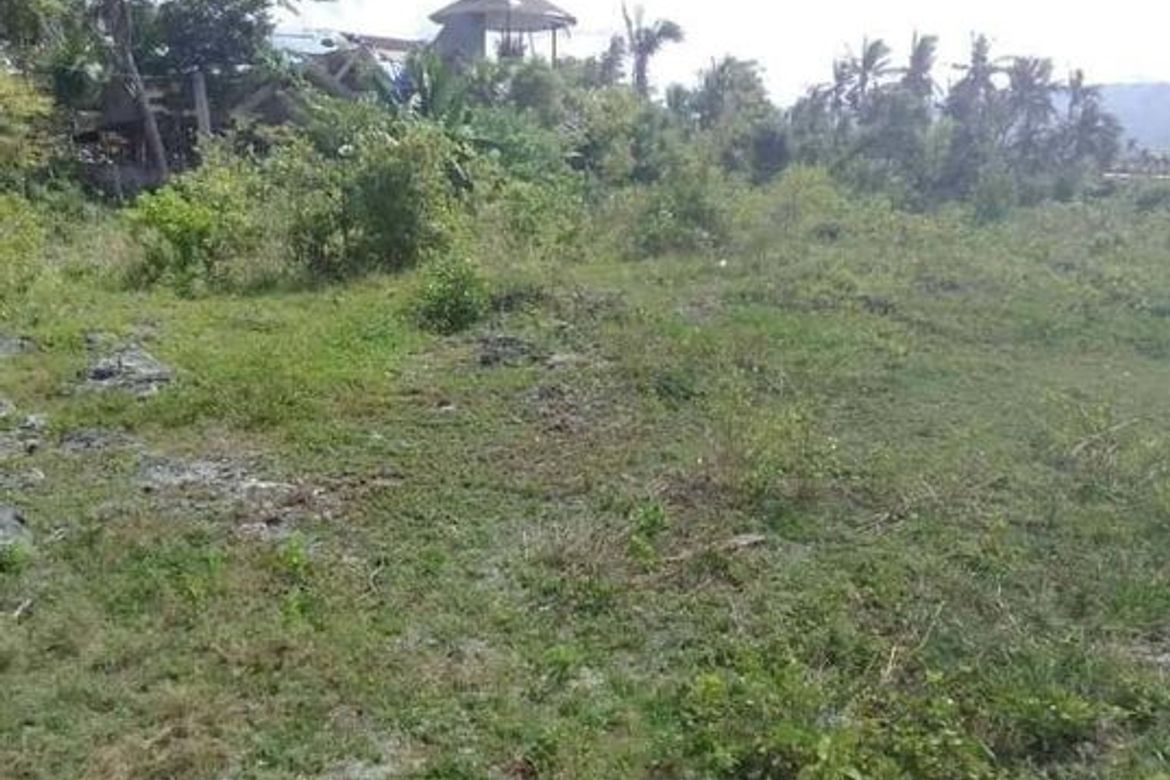 Land for Sale in Basdiot, Moalboal, Cebu – photo 8