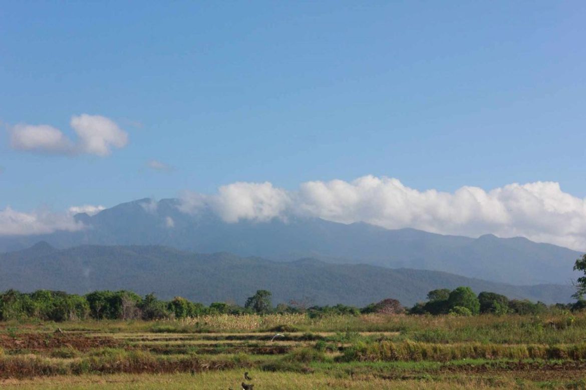 Land for Sale in Batang-Batang, Narra, Palawan