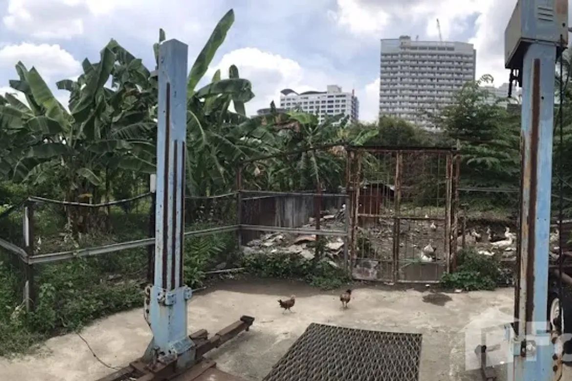 Land for Sale in Batasan Hills, Quezon City, Metro Manila – photo 4