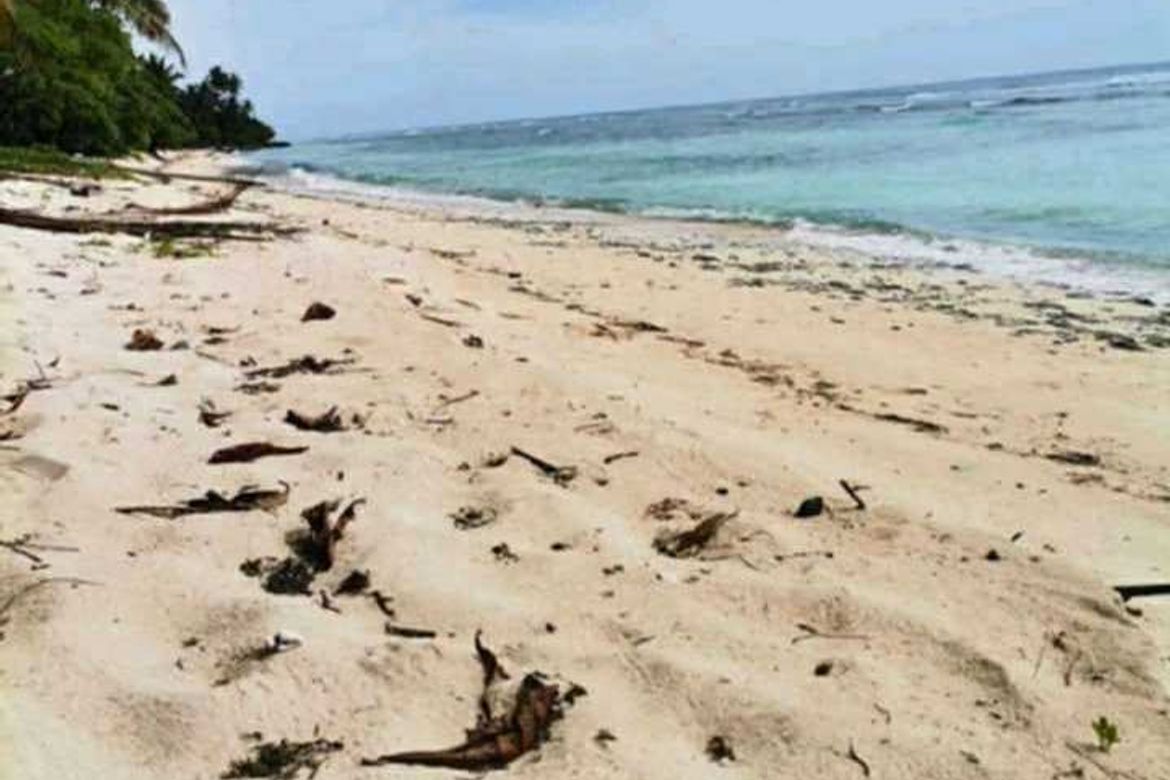 Land for Sale in Batawan, Baganga, Davao Oriental