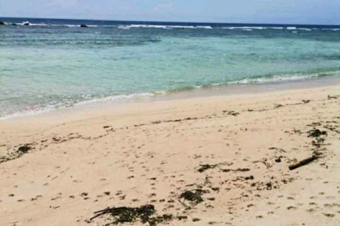 Land for Sale in Batawan, Baganga, Davao Oriental – photo 2