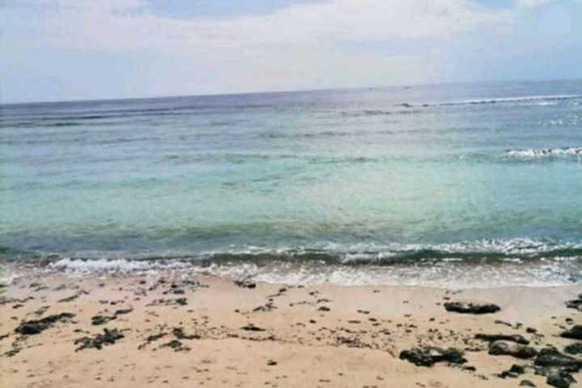 Land for Sale in Batawan, Baganga, Davao Oriental – photo 4