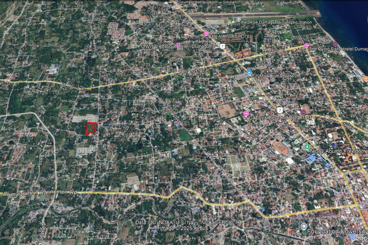 Land for Sale in Batinguel, Dumaguete, Negros Oriental – photo 2